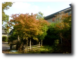 20101112-02.jpg